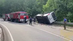 Три человека погибли в ДТП c двумя иномарками в Подмосковье